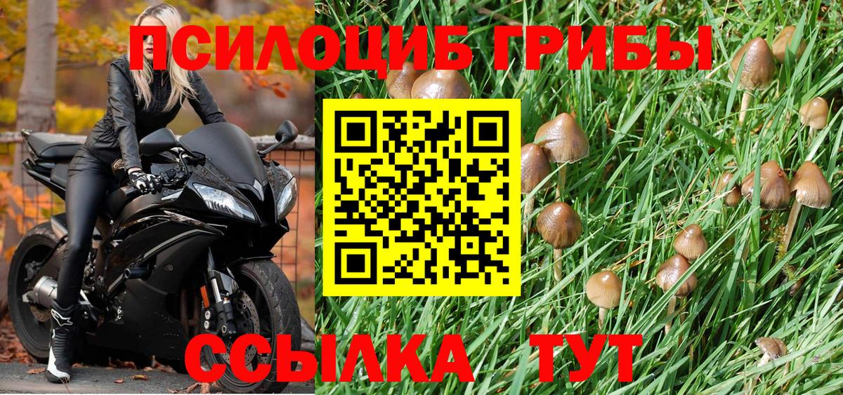 Псилоцибиновые грибы мицелий Клин