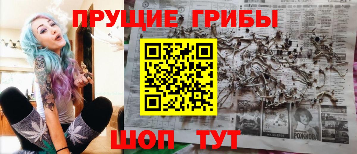 дарнет шоп  Галлюциногенные грибы Cubensis  Вход с VPN  Клин  Псилоцибиновые грибы прущие грибы 